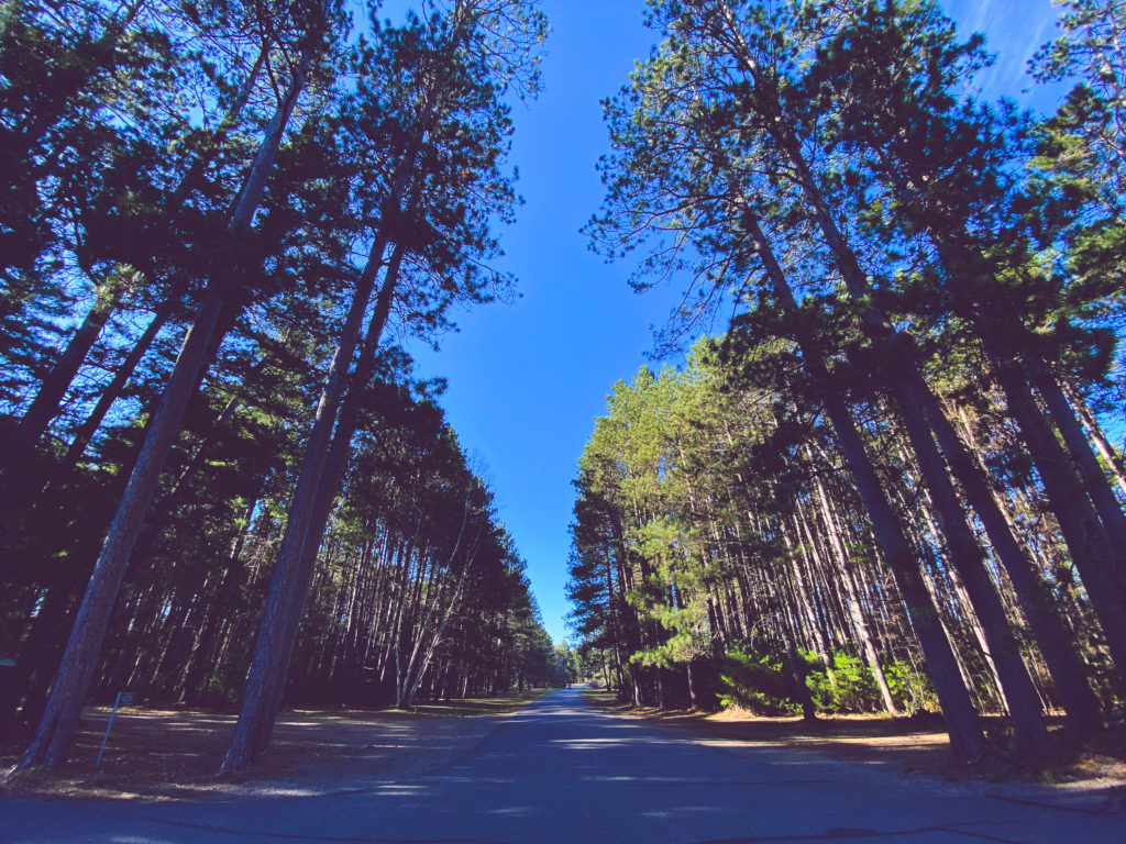 Norwood Pines driveway.