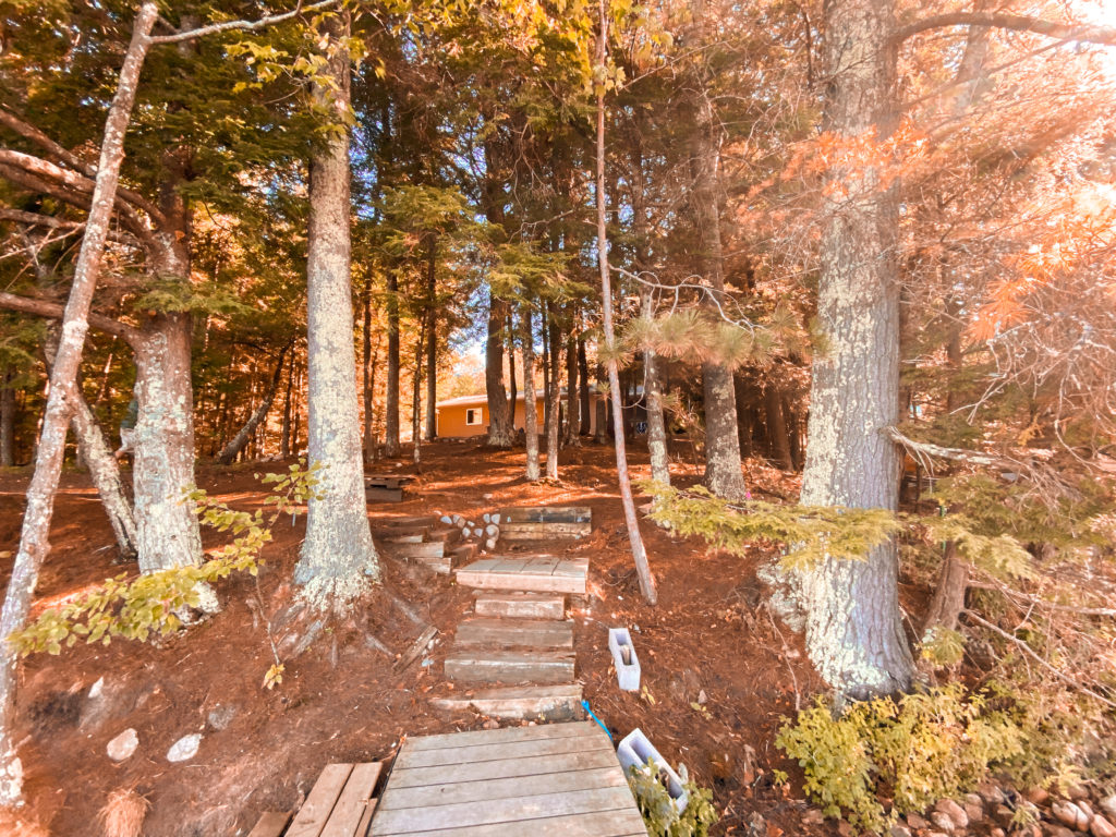 Path to Cabin