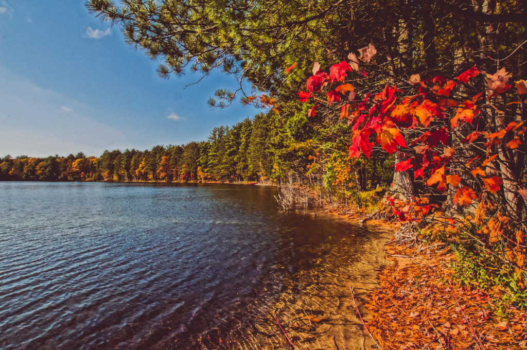 Autumn Color at Firefly lake