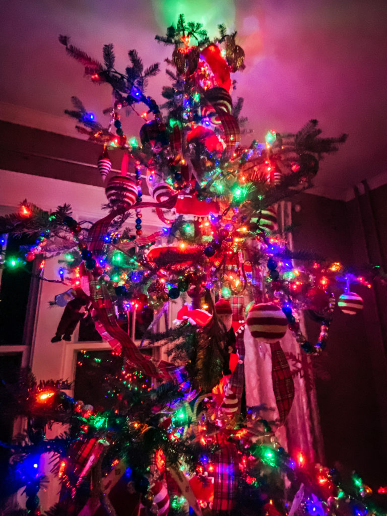 Beautiful tree all lit upw