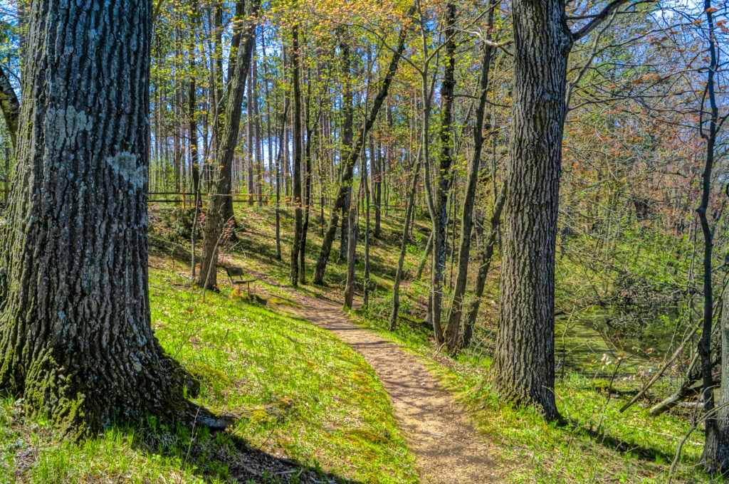 Trail at Hartman Creek State Park